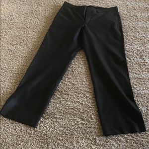 Pin striped dress pant